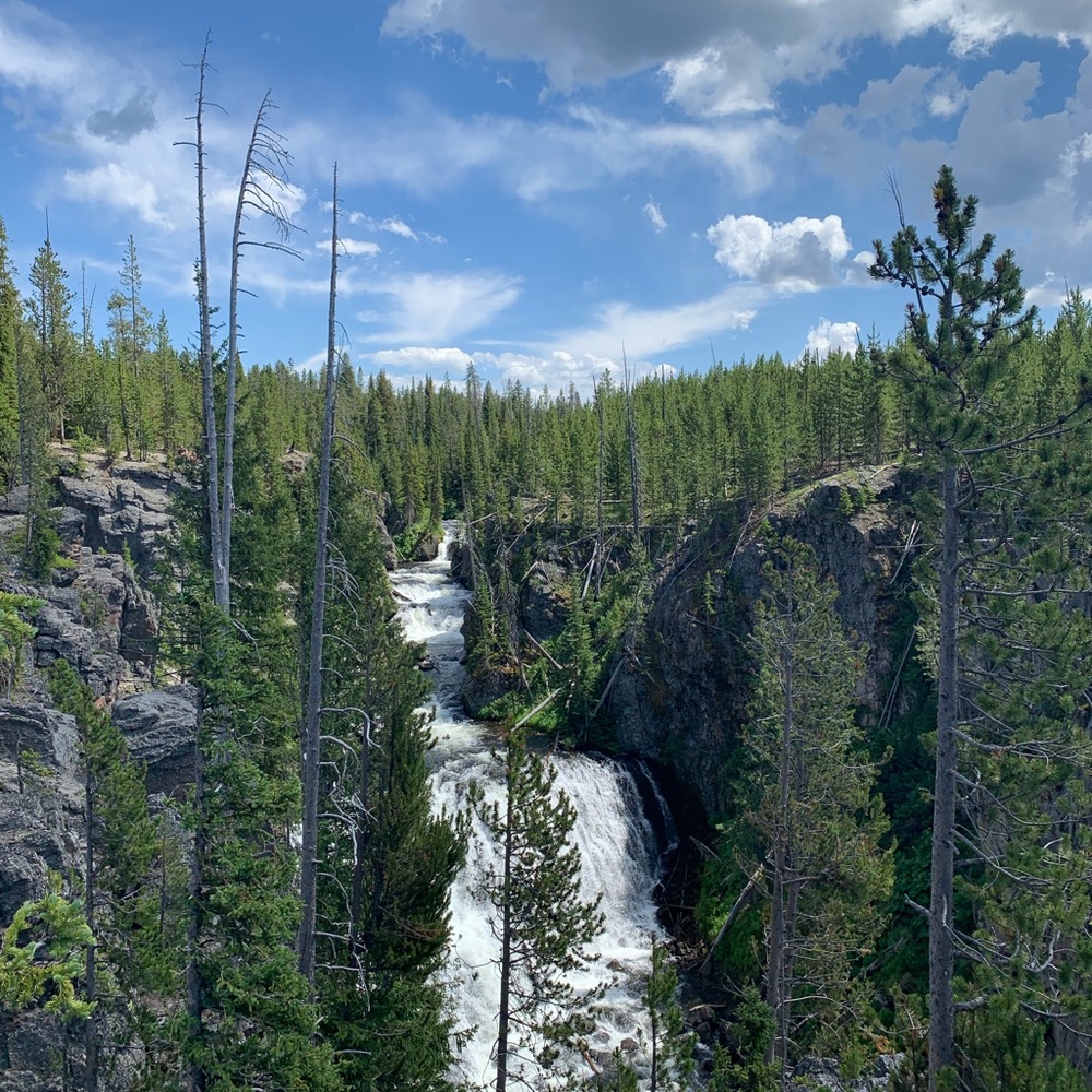 Meet your Posher, Lizeth